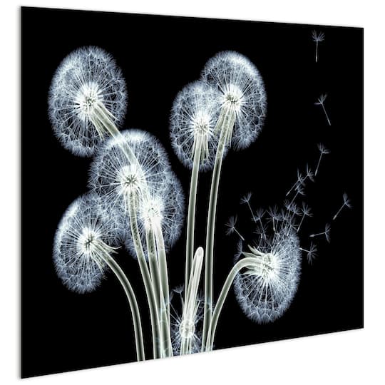 Empire Art Direct 48" x 38" 3D Dancing Dandelions Frameless Free Floating Printed Tempered Glass Wall Art